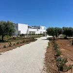 Masseria L'ulìa Alloggio per agriturismo Gallipoli