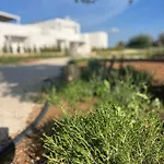 Masseria L'ulìa Alloggio per agriturismo