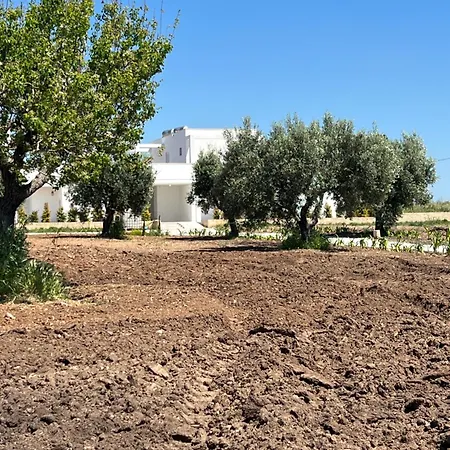 Lantgård Masseria L'ulia *