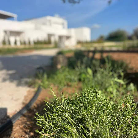 Masseria L'ulia Agroturismo